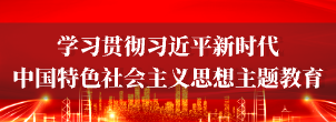 画板 29.png